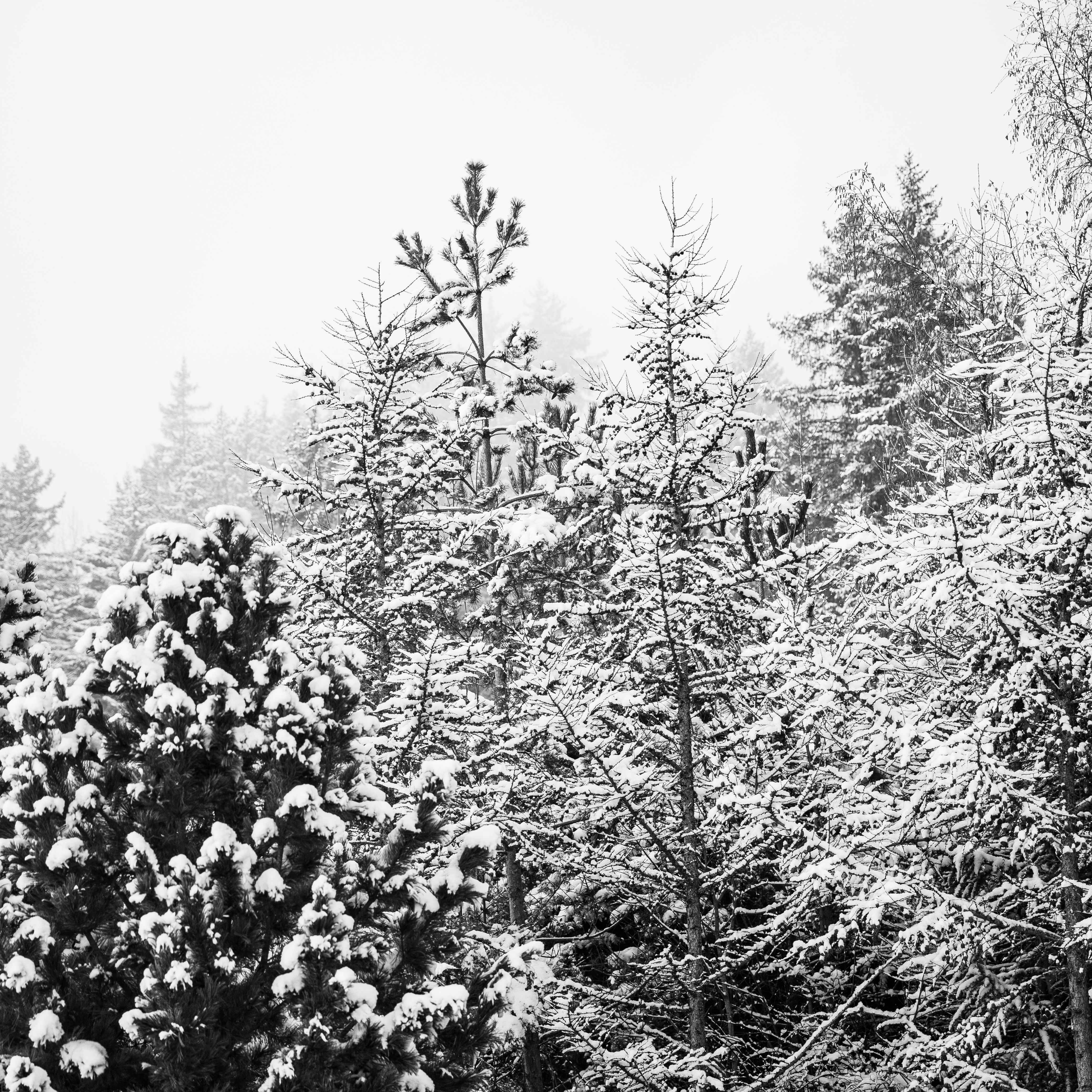 fotografie,landschaft,portrait,archtiekturfotografie,produktefotografie